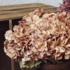 Antique Hydrangea Cappuccino 52cm | Faux Dried Flowers - H190 E3