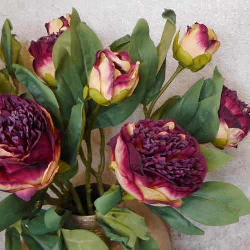 Antique Peony Burgundy 50cm | Faux Dried Flowers - P068 R1
