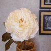 Antique Peony Cream 76cm | Faux Dried Flowers - P082 L4