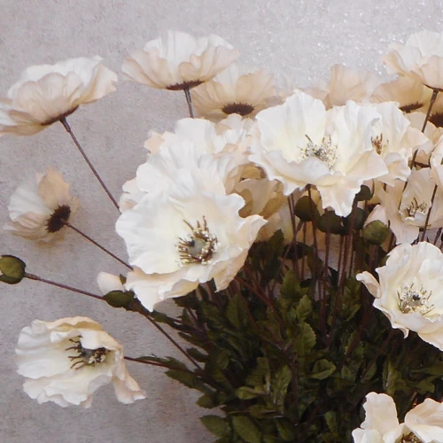 Artificial Poppies Blush Peach 70cm  - P177 K2