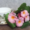 Artificial Primula Plants Pink 22cm - P024 II2