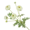 Faux Ranunculus Spray Cream 67cm - R206 