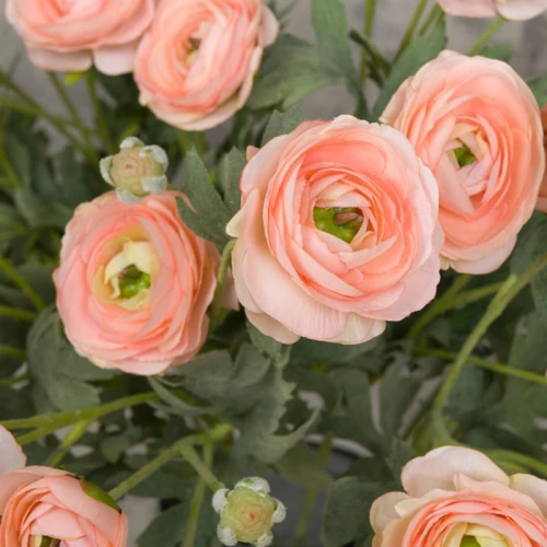 Faux Ranunculus Spray Peach 67cm - R203 O2
