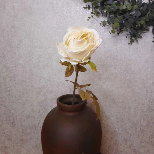 Antique Rose Cream 68cm | Faux Dried Flowers - R230 S2