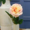 Calypso Artificial Ruffled Rose Peach 70cm - R535 J4