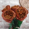 Artificial Cabbage Rose Chestnut Brown 60cm - R779 M3