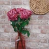 Artificial Cabbage Rose Dusky Dark Pink 60cm - R780 R2