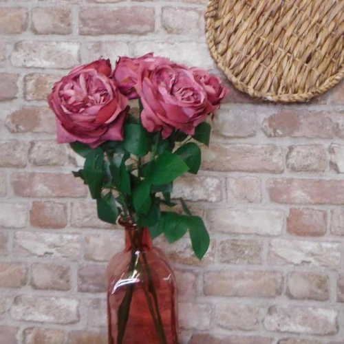 Artificial Cabbage Rose Dusky Dark Pink 60cm - R780 R2