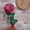 Artificial Cabbage Rose Dusky Dark Pink 60cm - R780 R2