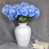Galaxy Rose Pale Blue 57cm - R911 LL2