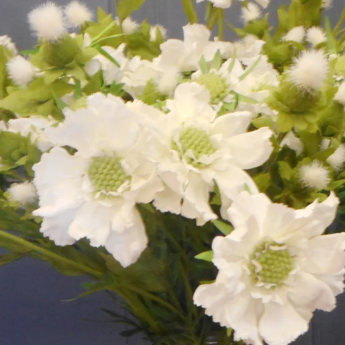 Silk Scabious Flowers White 72cm | Artificial Scabiosa - S110A 