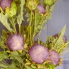 Artificial Thistle and Leaves Spray Purple 69cm - T076 BX10