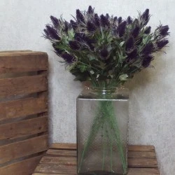 Artificial Eryngium Thistles Sea Holly Purple 68cm  - E004 E1
