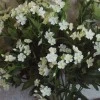 Artificial Wild Flowers White 66cm - W026 T2