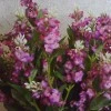 Artificial Wild Meadow Flowers Pink Purple 60cm - W005 N2
