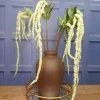 Artificial Amaranthus Pale Green - AMA009 A2