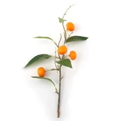Artificial Oranges Branches 38cm - ORA501 FF3