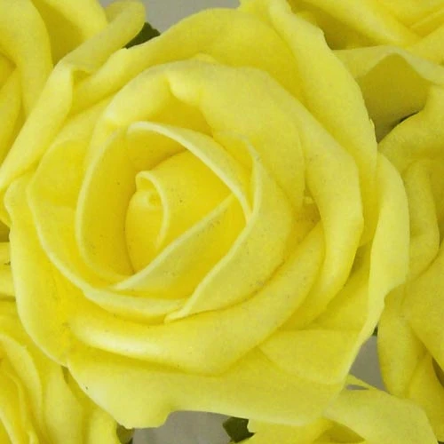 Colourfast Cottage Foam Roses Bundle Yellow 6 Pack 24cm - R298 BX5