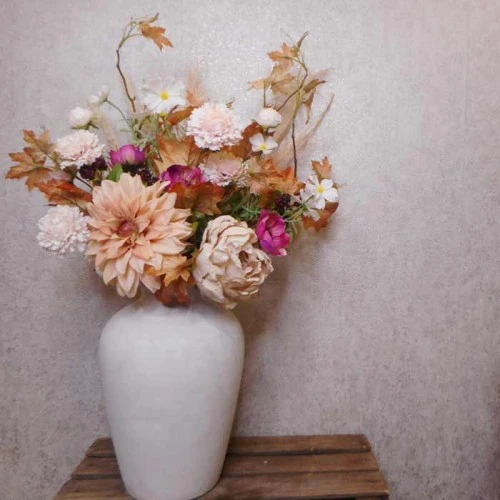 Harvest Moon Dahlias Champagne Peach 67cm - D187 S4