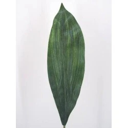 Artificial Dracena Leaves Small - DRA001 C2