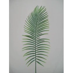 Large Artificial Cycas Palm Leaf - PM004 J2