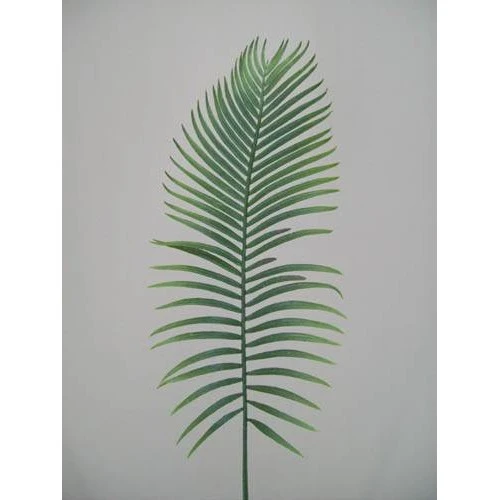 Large Artificial Cycas Palm Leaf - PM004 J2