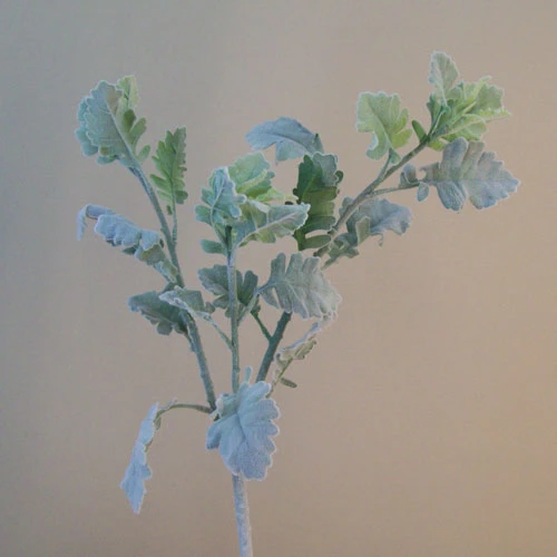 Premium Artificial Cineraria Stem 71cm | Dusty Miller - CIN004 C4