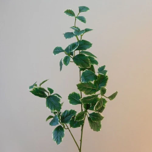 Artificial Euonymous Stem Dark Green - EUO002 E4