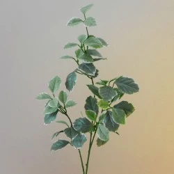 Artificial Euonymous Stem Light Green - EUO001 E4