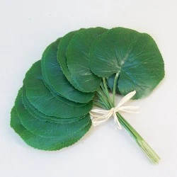 Real Touch Artificial Galax Leaves 12 Pack - GAL007 I3