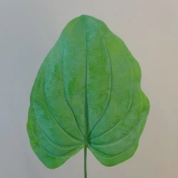 Artificial Hosta Leaf - HOS002 H3