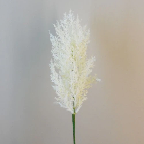 65cm Artificial Pampas Grass Cream - PAM004 O4