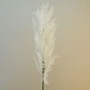 72cm Artificial Pampas Grass Cream - PAM005 S3