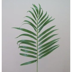 Artificial Parlour Palm Leaves - PM007 