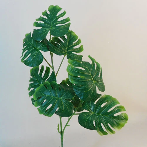 Philodendron Leaf Spray - PHI012 K4