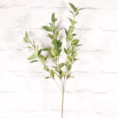 Artificial Pittosporum Stem - PIT001 L3