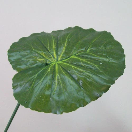 Artificial Lotus Leaves with Raindrops - LOT001 K2