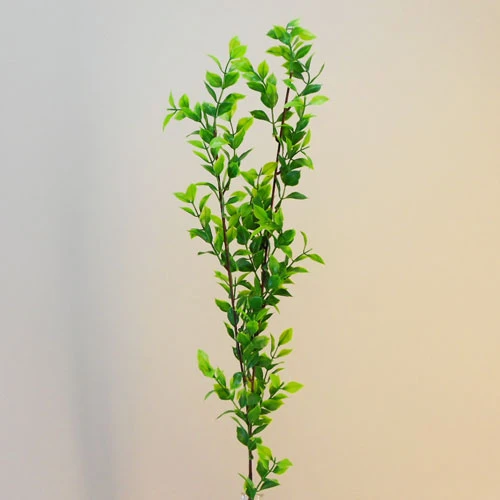 Small Leaf Artificial Ruscus Branch Two Tone Dark Green - RUS002 L3