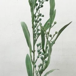 Artificial Stachys with Buds Green - STA004 J4