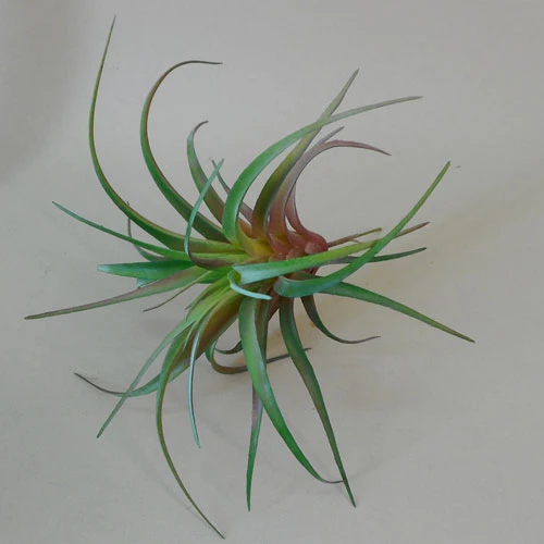 Artificial Succulent Tillandsia - SUC004 S1
