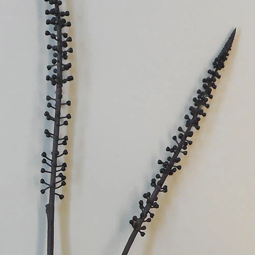 Artificial Veronica Buds - VER001 Q2