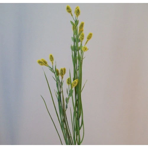 Artificial Wild Grass with Seeds - WGR004 U4