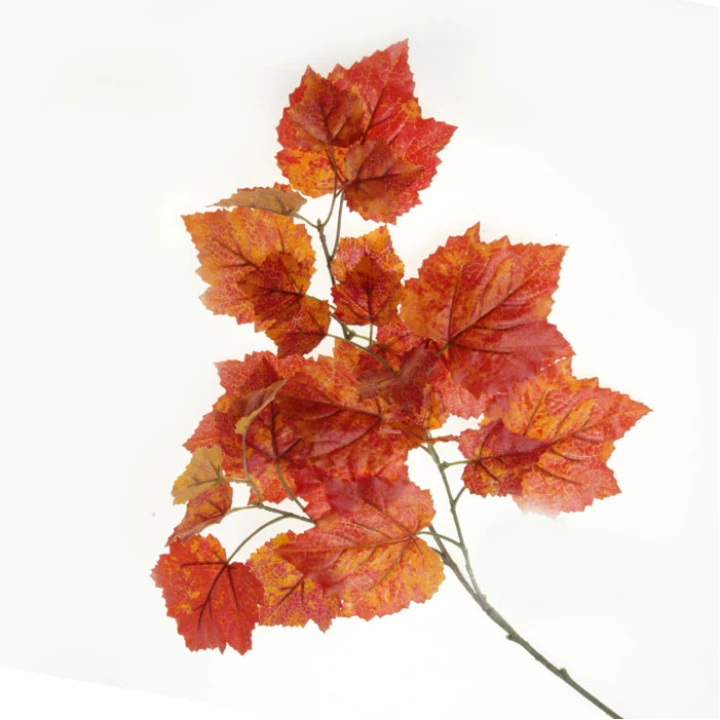 Orange Leaves and Foliage