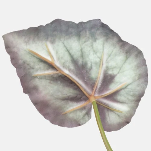 Artificial Begonia Plants 30cm - BEG001 A4