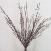 Twig Bundle Brown - TWI001 T2