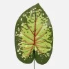 Artificial Caladium Leaf Green Red 43cm - CAL002 C3