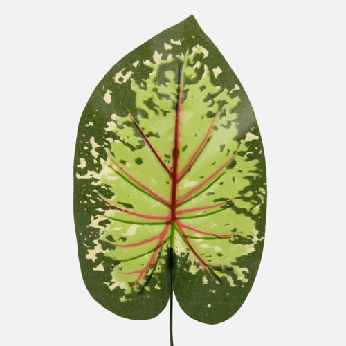 Artificial Caladium Leaf Green Red 43cm - CAL002 C3