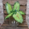 Artificial Caladium Leaf Green Red 43cm - CAL002 C3