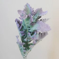 Artificial Cineraria Stem | Dusty Miller Short Stem Green Purple 42cm - CIN008 AA3