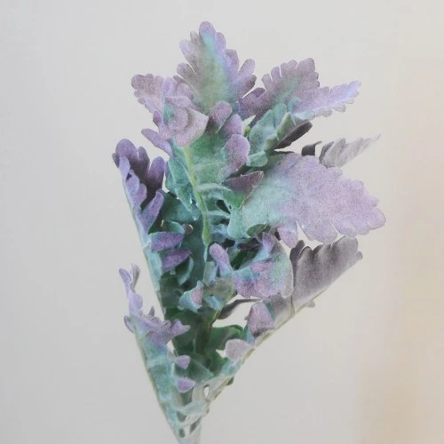Artificial Cineraria Stem | Dusty Miller Short Stem Green Purple 42cm - CIN008 AA3